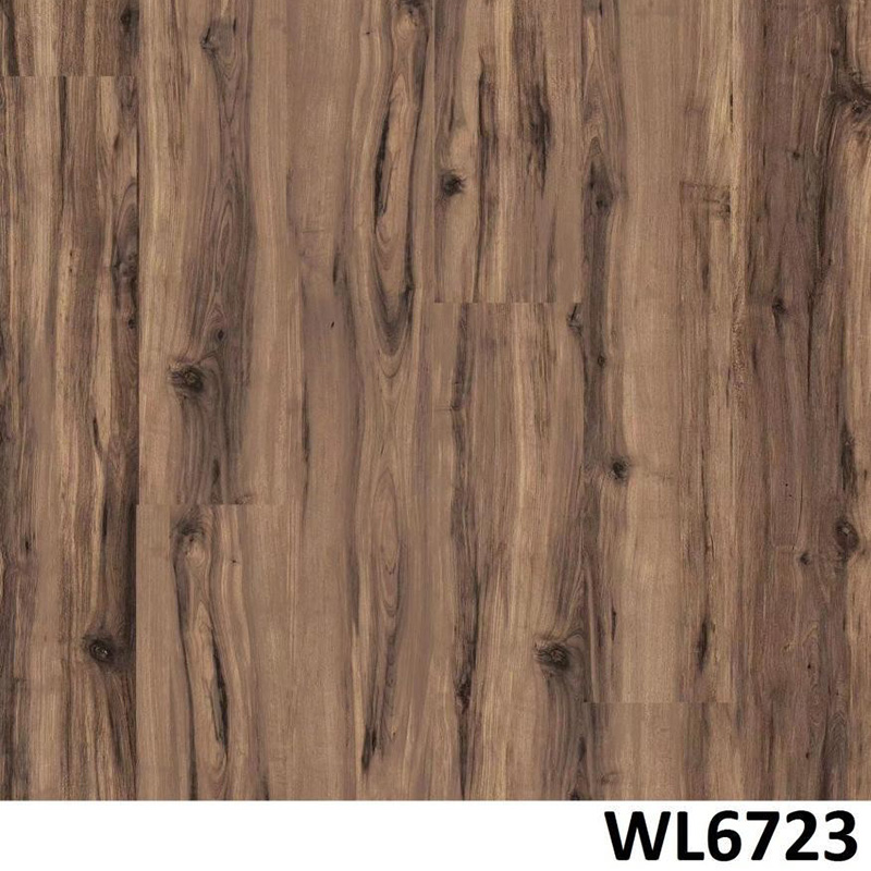 WL6723