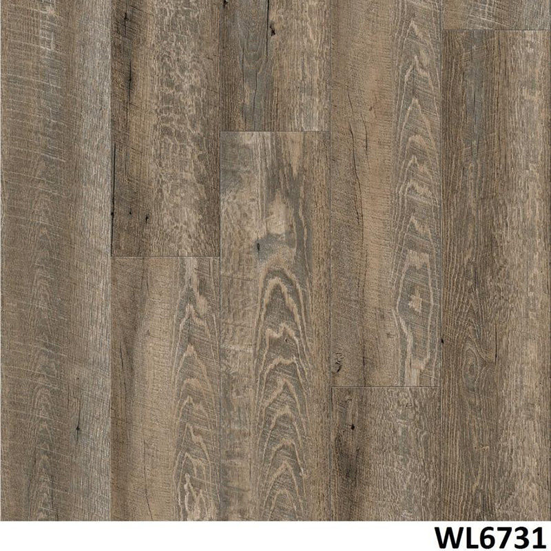 WL6731