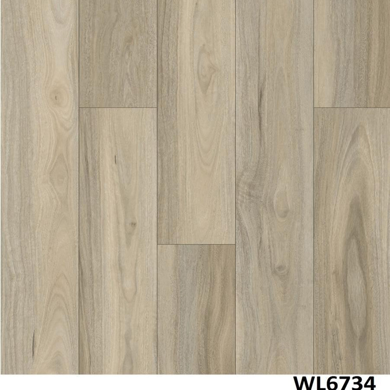 WL6734