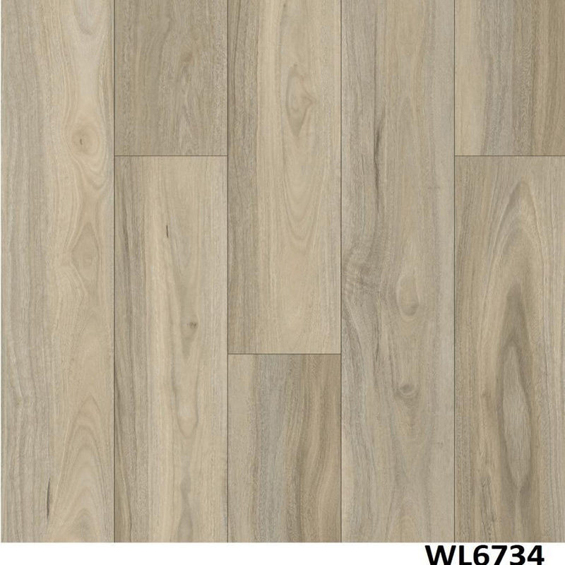 WL6734