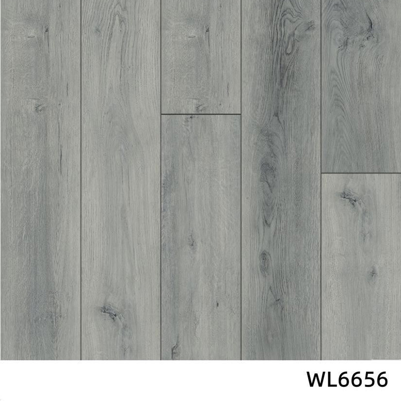 WL6656