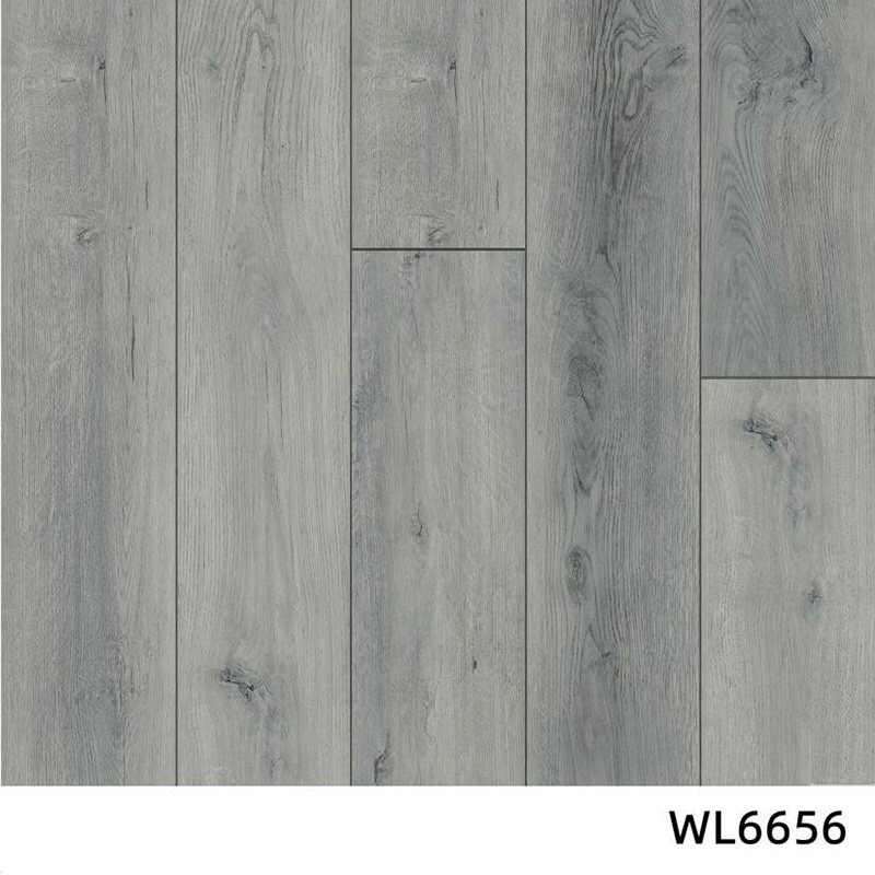 WL6656