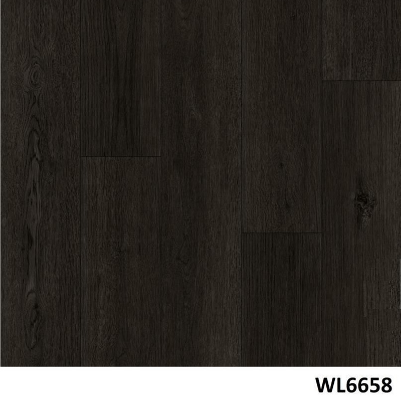 WL6658