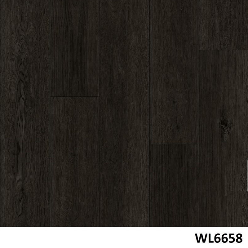 WL6658