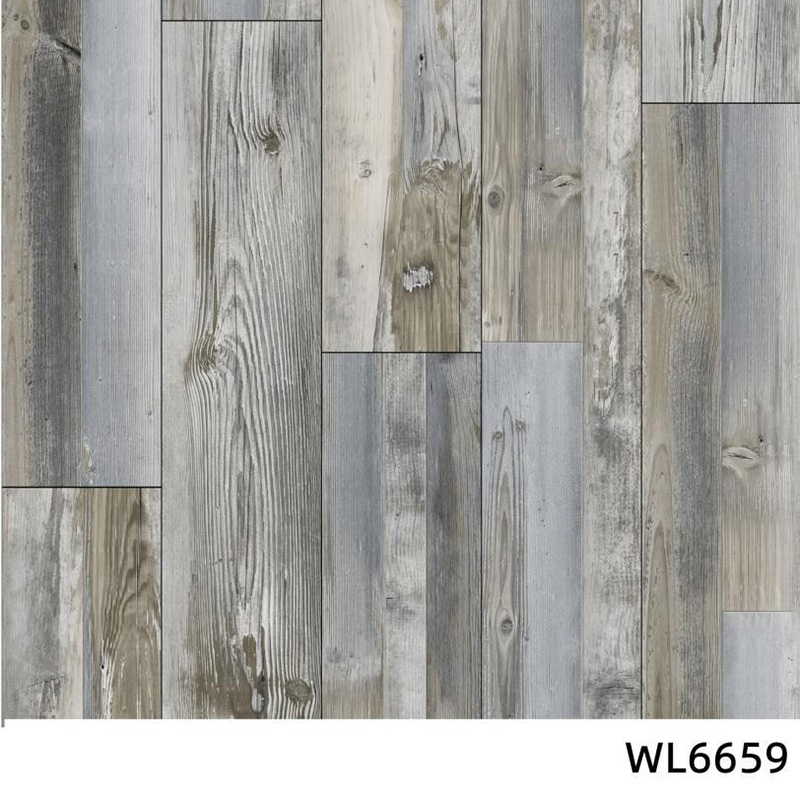 WL6659