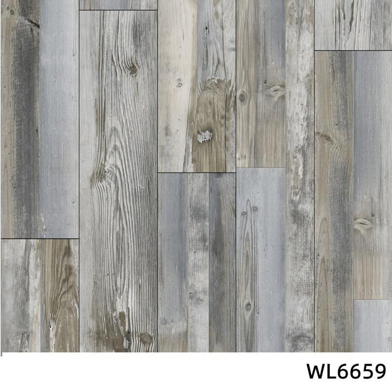 WL6659