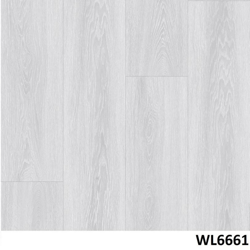 WL6661