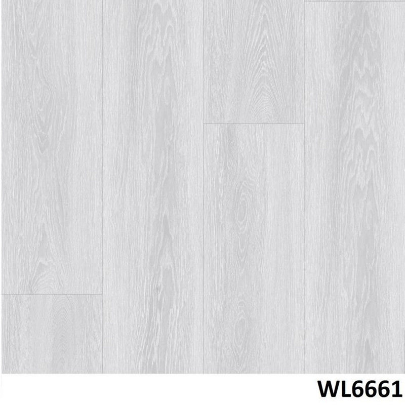 WL6661