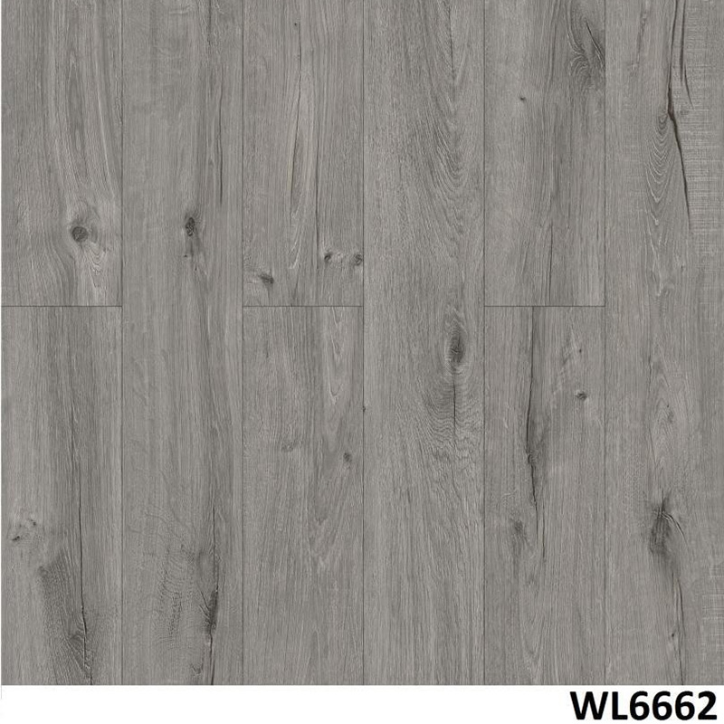 WL6662