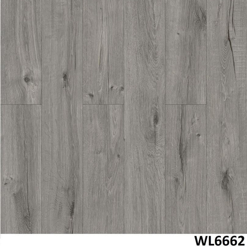 WL6662