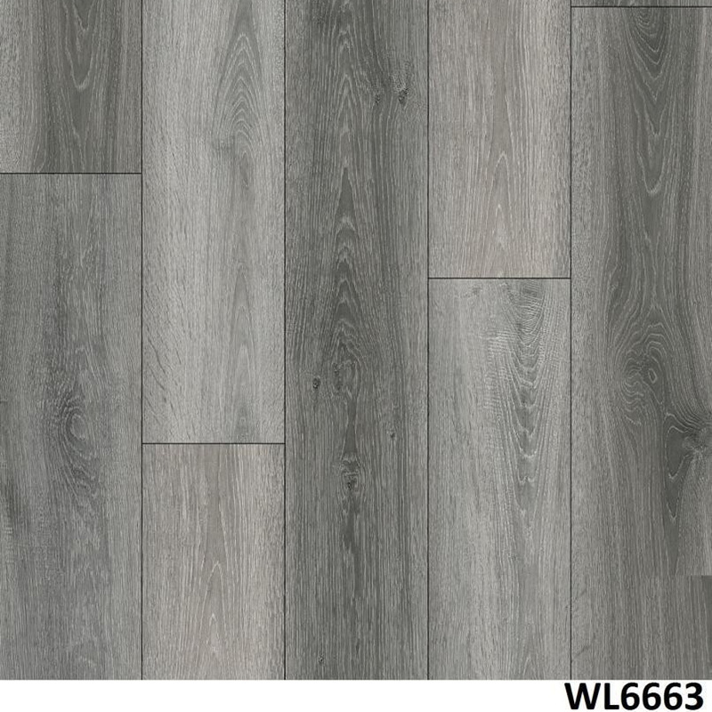 WL6663