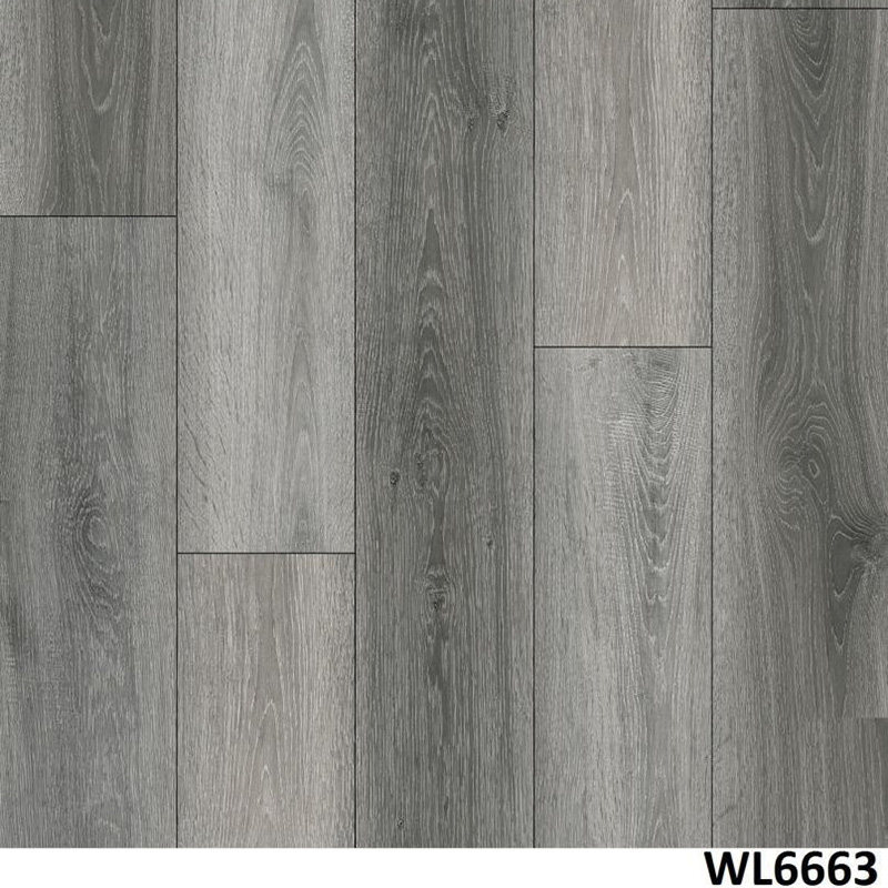 WL6663
