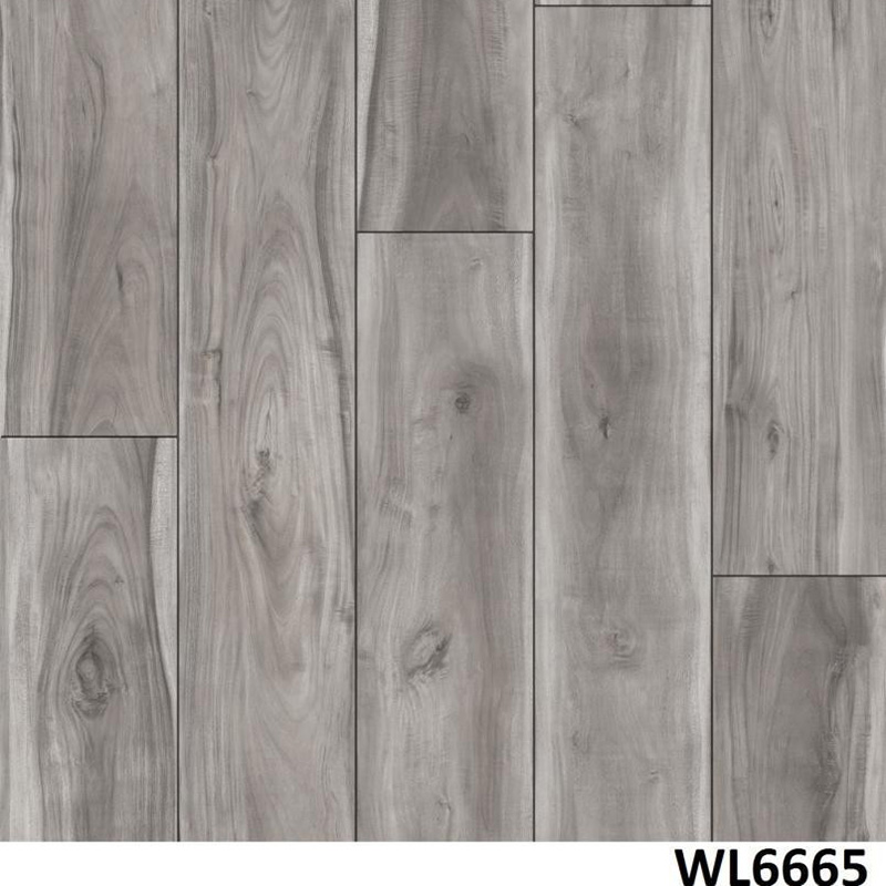 WL6665