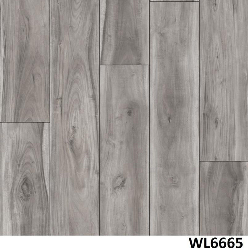 WL6665