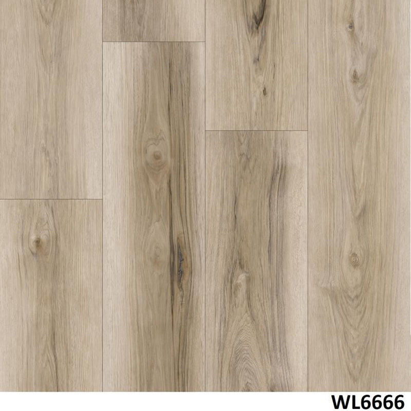 WL6666