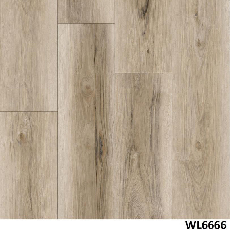 WL6666