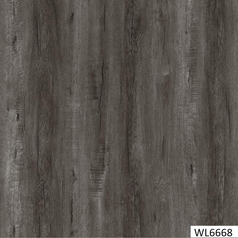 WL6668