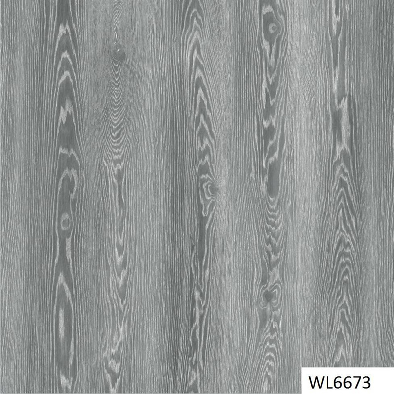WL6673
