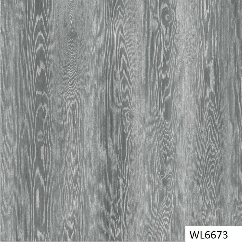 WL6673