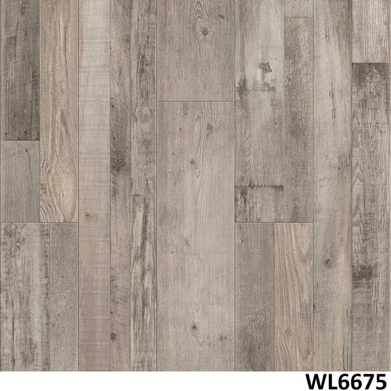 WL6675