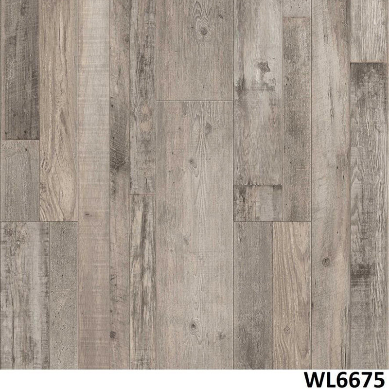 WL6675