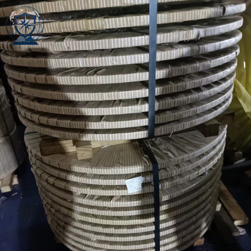 304 Stainless Strip