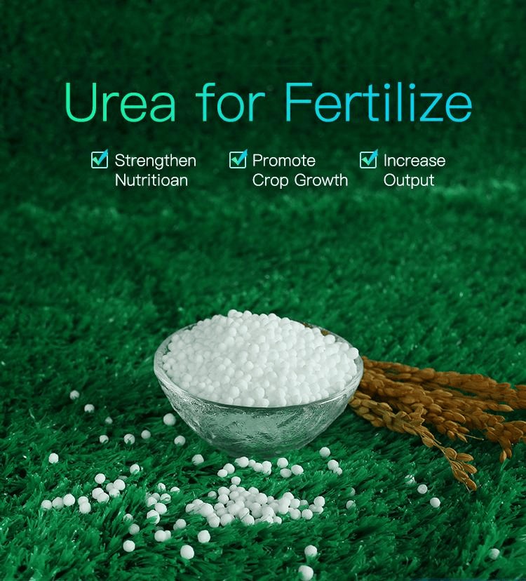 Automotive-Urea-N46-DAP-Fertilizer-Urea-Prilled-Sop-Potassium-Sulphate.png Urea