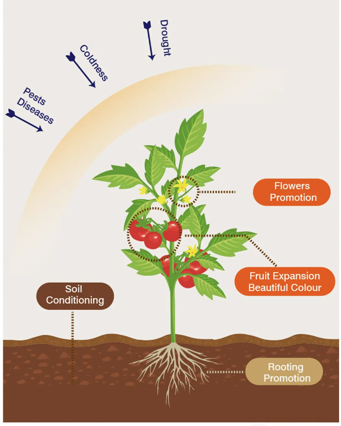 Foliar Fertilizer
