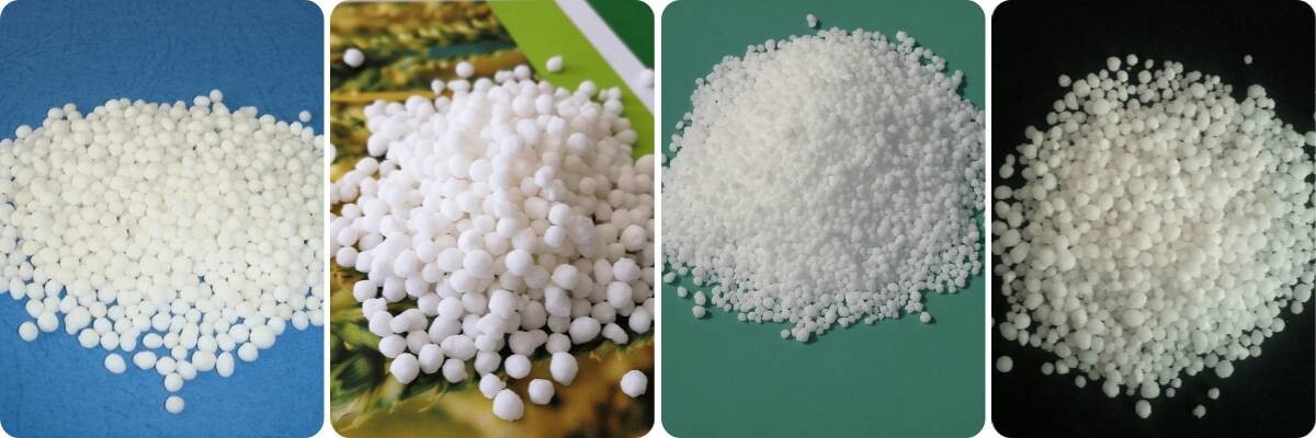 下载 (13).jpg Calcium Ammonium Nitrate