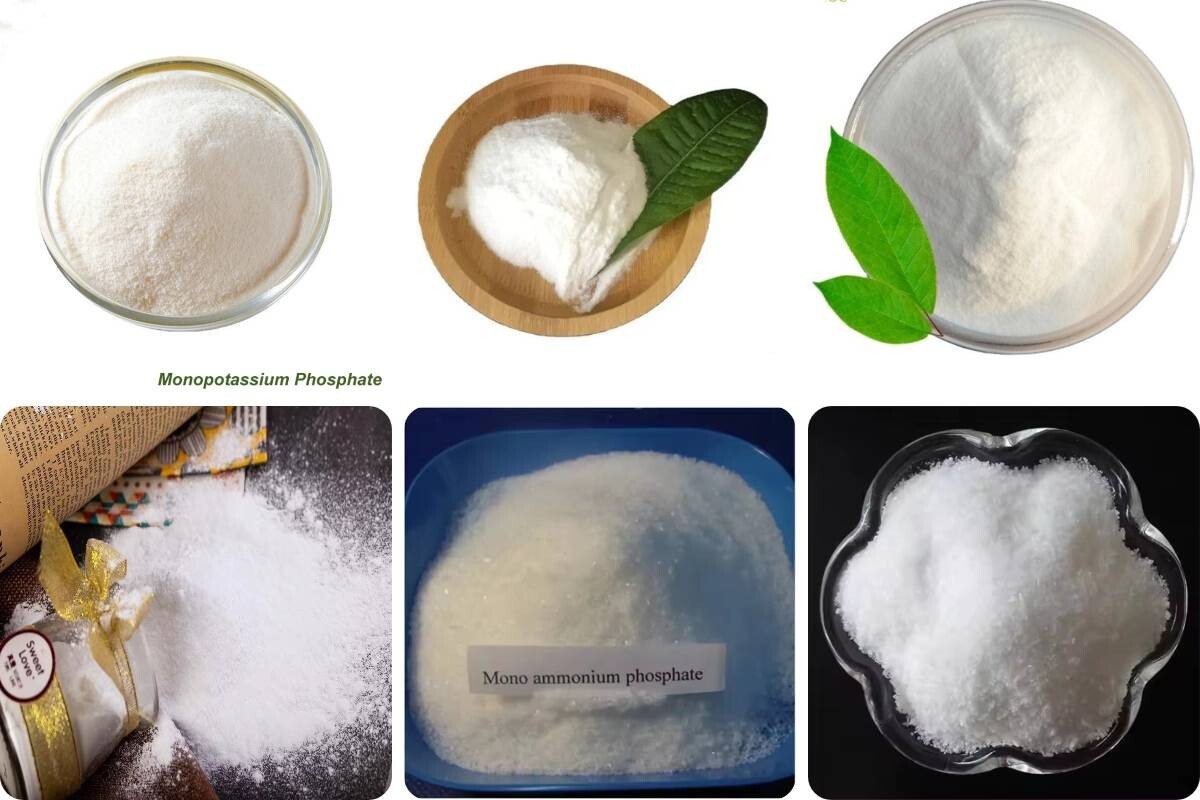 下载 (13).jpg Mapmonoammonium Phosphate