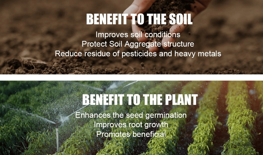 DAP Diammonium Phosphate