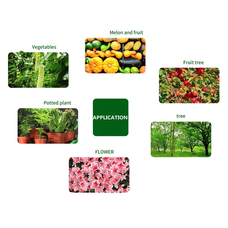 DAP Diammonium Phosphate