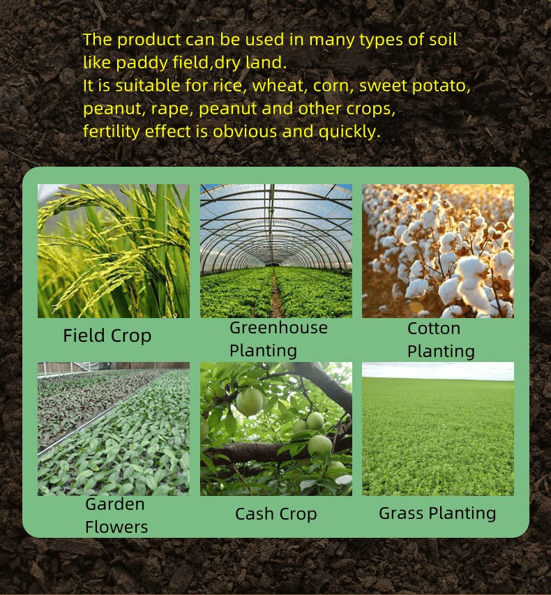DAP Diammonium Phosphate