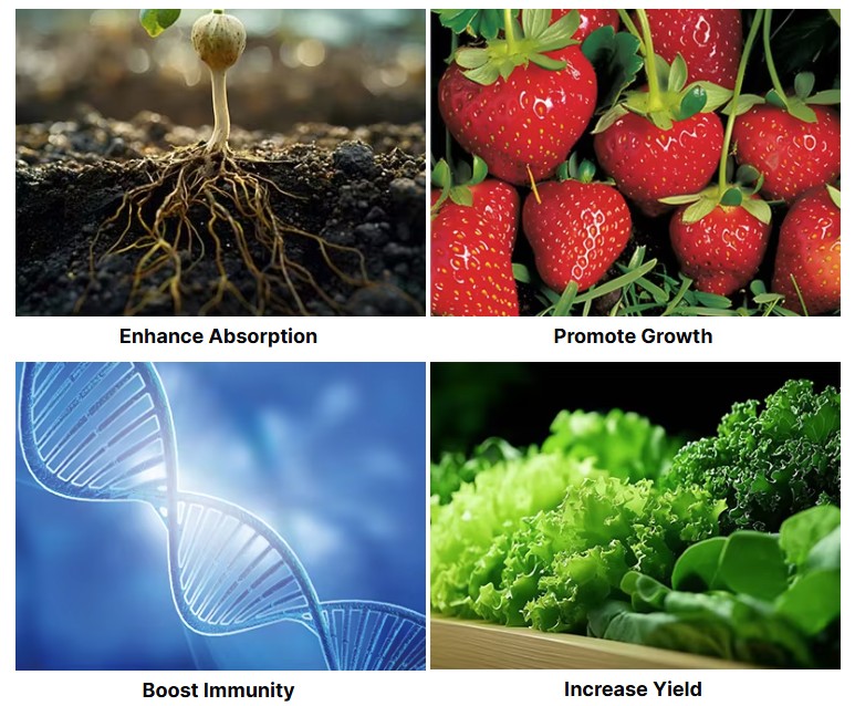 7bb791f432f187d9ab724b1508753500 Composite Microbial Fertilizer