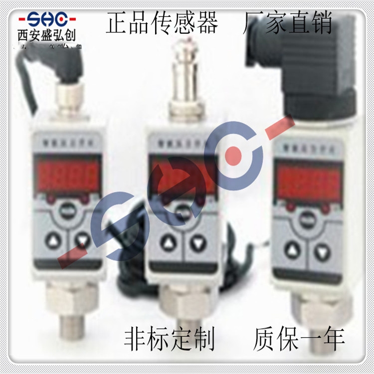 Domestic Pressure Controller ZH-S300 Digital Pressure Controller