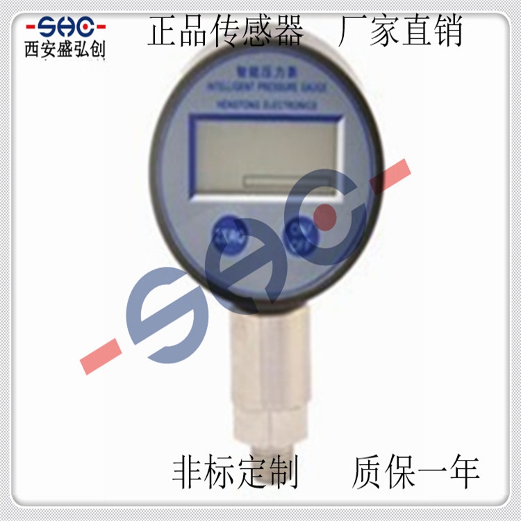 Domestic Pressure Controller MPM484A Digital Pressure Controller