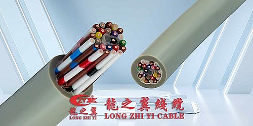 In the face of non-standard extreme conditions such as high temperatures, corrosion, sterility, high pressure, and compound motion, standard cables often fail to meet the specific requirements of equipment. Relying on our in-house R&D laboratory and full-process production lines, Longzhiyi Cable provides comprehensive, high-end customized cable services covering all dimensions, including structure, material, and specifications.
