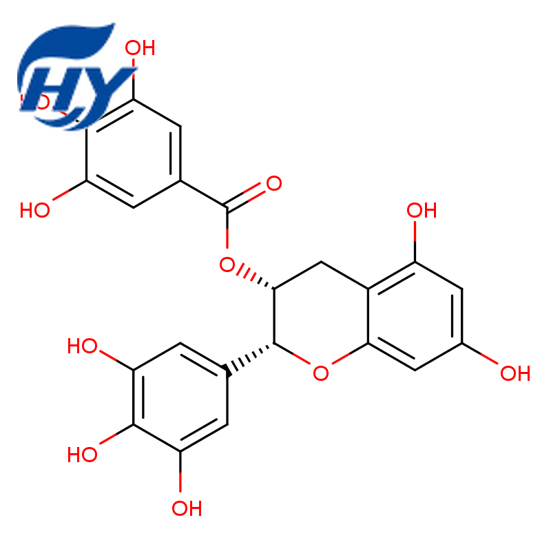 (-)-Epigallocatechin gallate