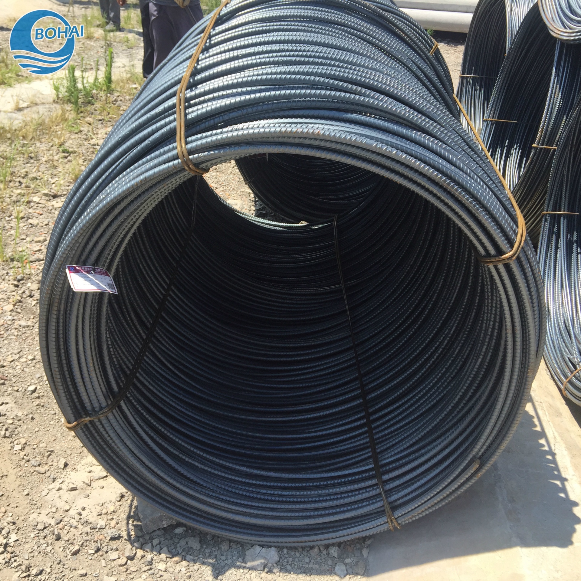 HRB500 Wire Rod