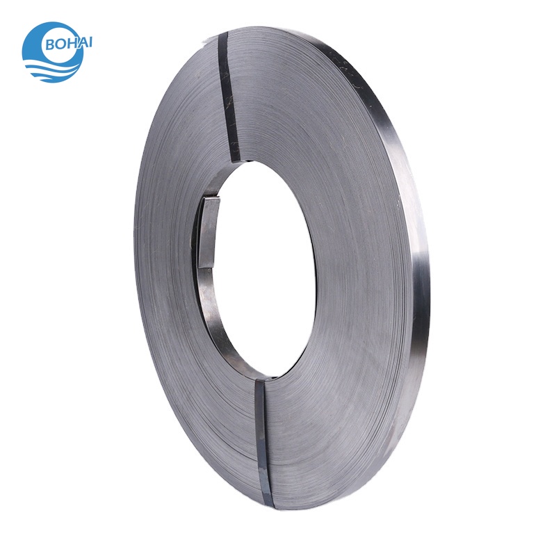 Stainless Steel Strips