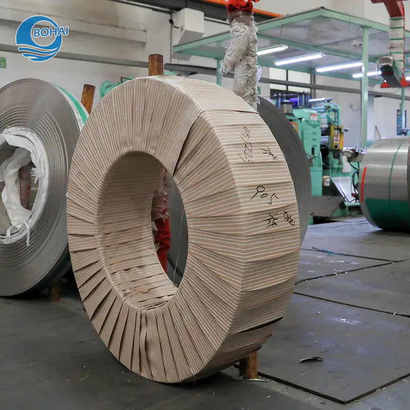 Stainless Steel Strips