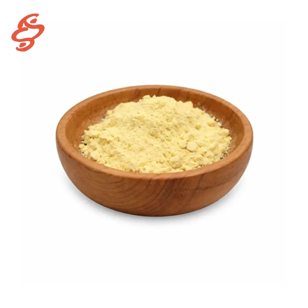 Ginkgo biloba extract CAS#90045-36-6