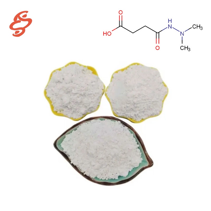 Daminozide CAS#1596-84-5