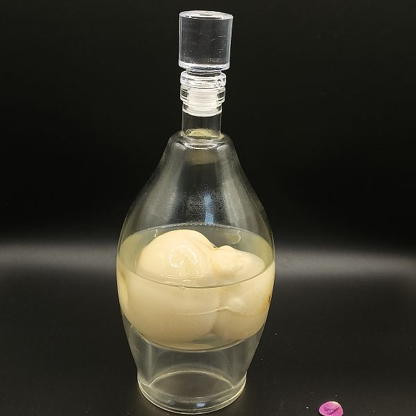 P-12，Pear inside Glass bottle