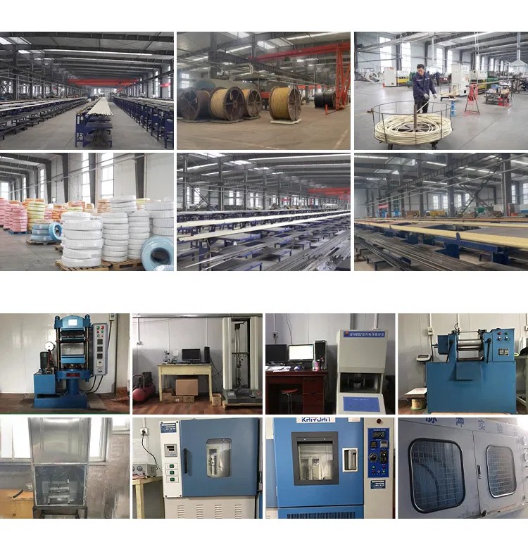 7工厂1 Food-grade hoses