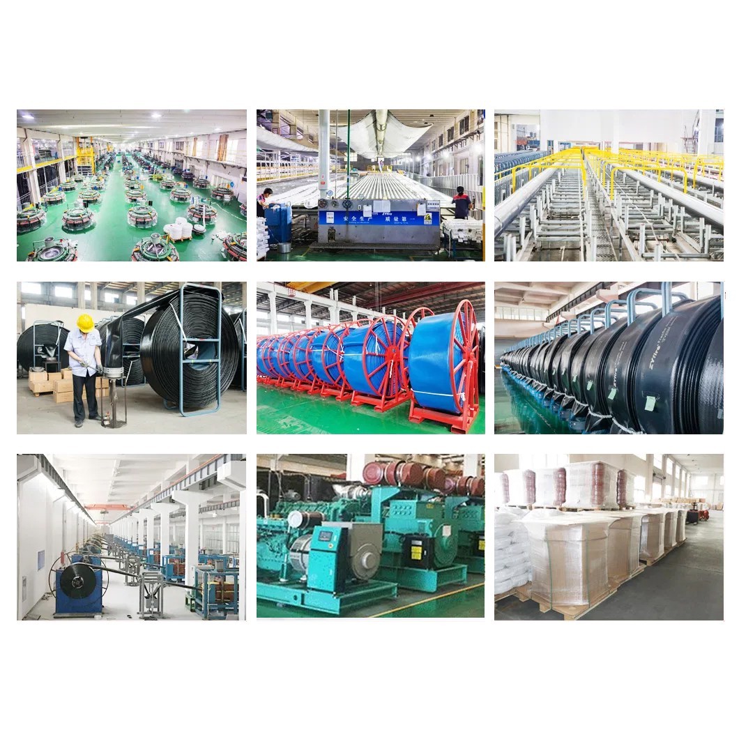 7工厂 Hose pump hose