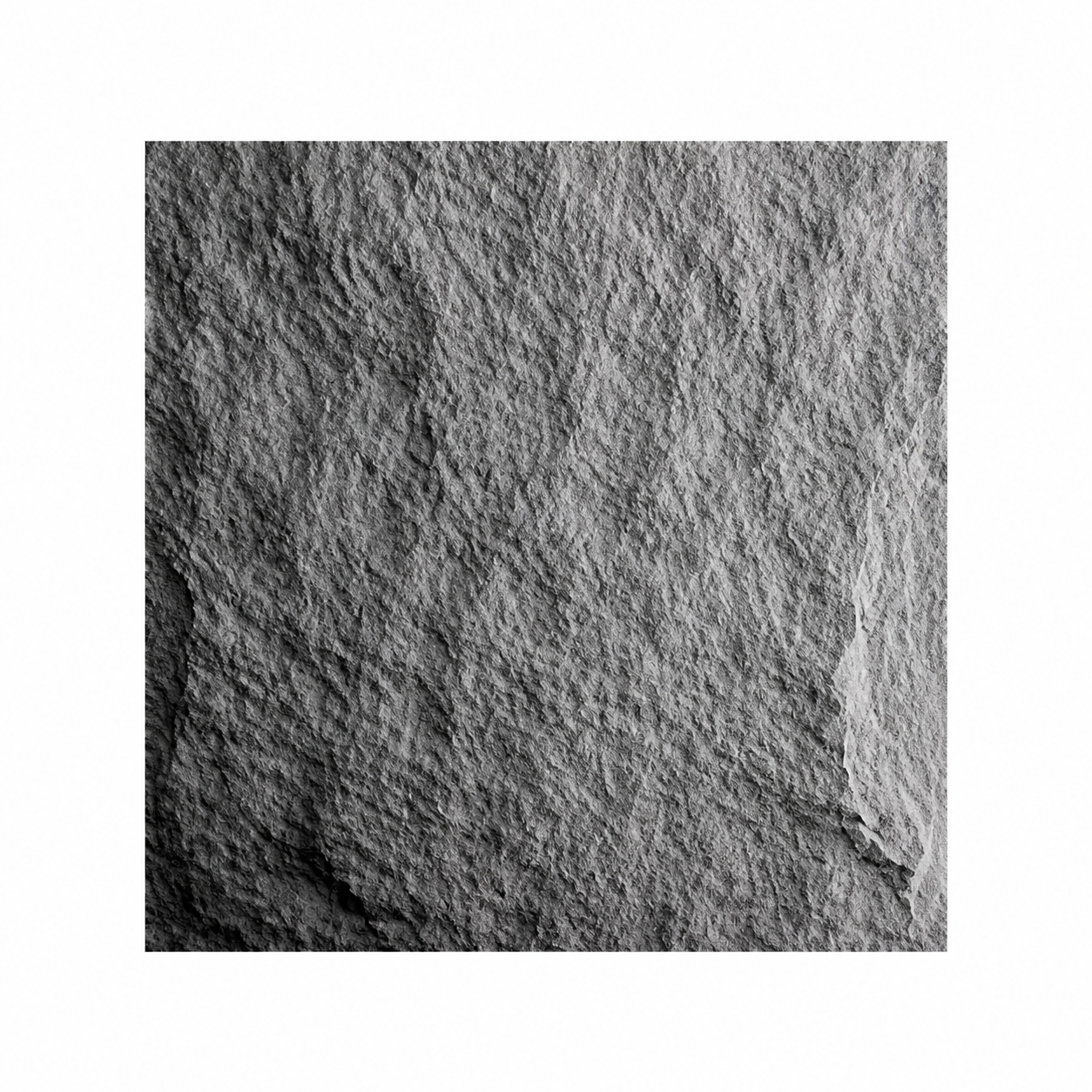 Mushroom Stone