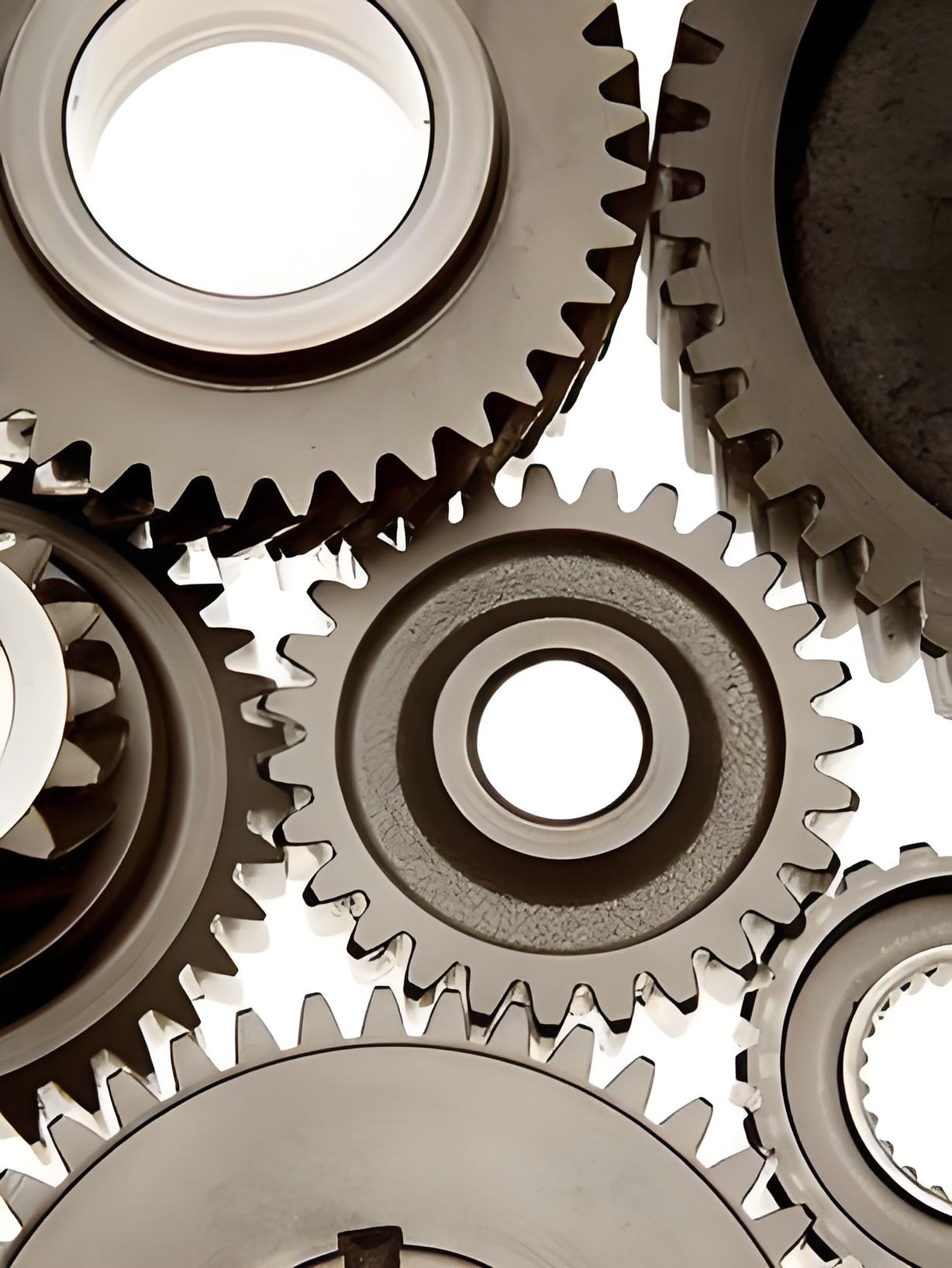 Spur gear