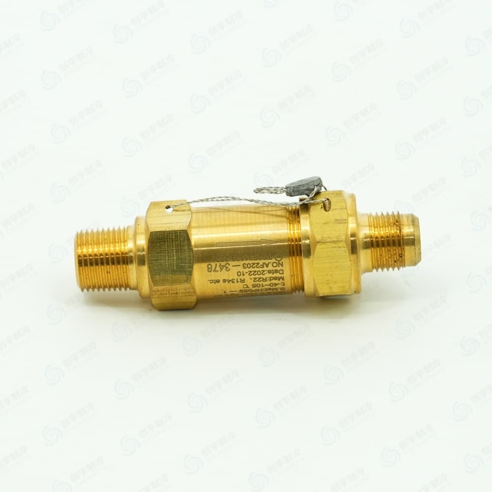 CARR*IER 00PSY110019902 Spring‑Loaded Safety Relief Valve