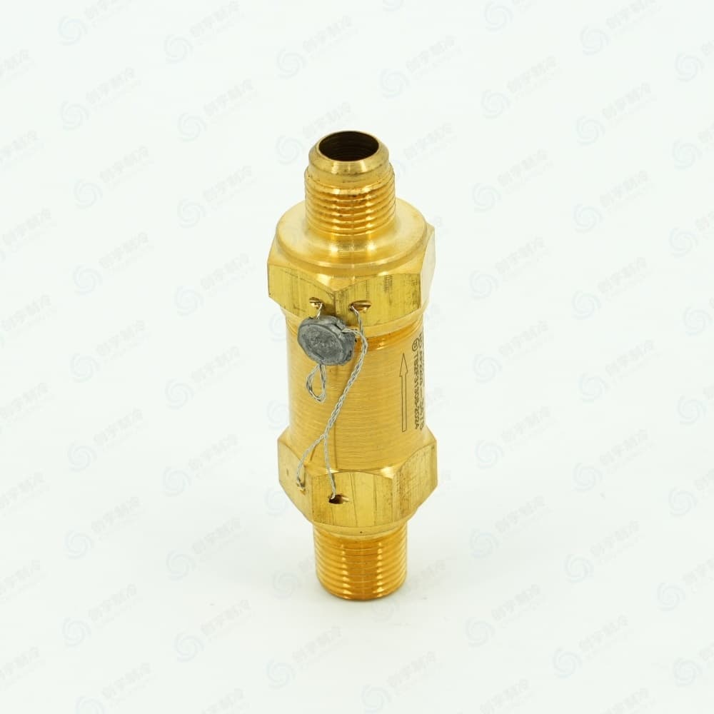 CARR*IER 00PSY110019902 Spring‑Loaded Safety Relief Valve